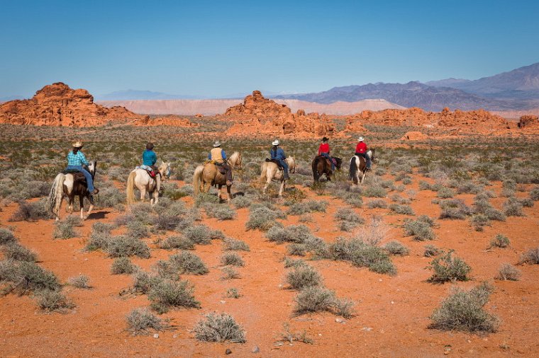 82 Valley of Fire SP.jpg